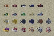 There is a truly huge variety of tropical fish